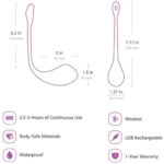 Lovense Lush 2 caracteristici