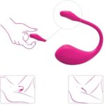 mod de utilizare Lovense Lush 2