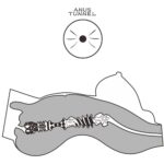 6942063400608 streetgirl's 8 - Beneficii