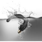 Model - 811041011609 naughty-boy 7 black